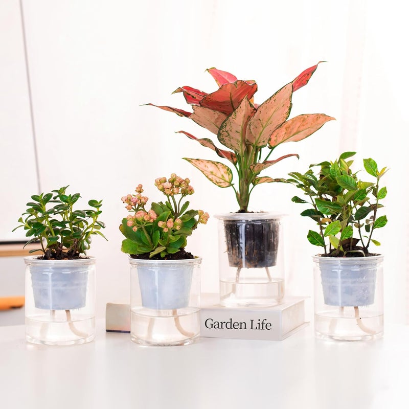 ORIMERC 200 feet 1/12 inch Self Watering Capillary Wick Cord Vacation Plant Sitter DIY Hydroponic Wicking Rope Seeds Start Planter Pot Automatic Potted Flower Passive Lazy Waterer String System Device - Image 4